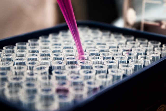 Healthcare & Life Sciences